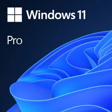 Microsoft Win 11 Pro 64Bit Dutch 1pk DSP OEI DVD