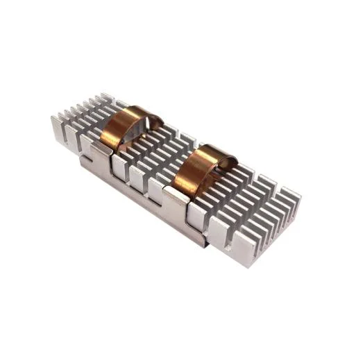 Qnap HS for M.2 SSD module 68*19.8*1MM 2pack